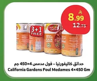 Foul Medames