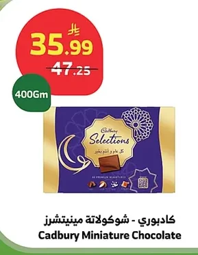 Miniature Chocolates
