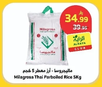 Albayt - Golden / Creamy Rice