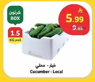 Cucumber
