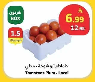 Tomatoes Plum