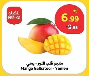 Mango Galbatoor