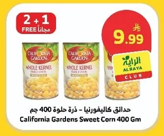 Sweet Corn