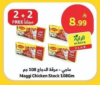 Maggi - Chicken Stock