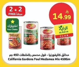 California Gardens Foul Medames Mix