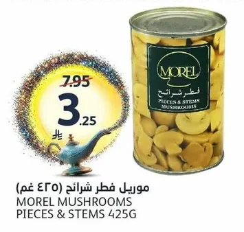 Morel Sliced Mushrooms