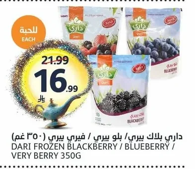 Blackberry / Blueberry / Fairy Berry