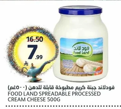 فودلاند جبنة كريم مطبوخة قابلة للدهن (٥٠٠ غم)
