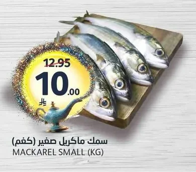 سمك ماكريل صغير