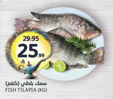 FISH TILAPIA