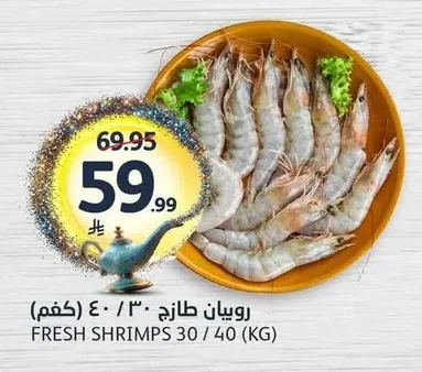 FRESH SHRIMPS 30 / 40