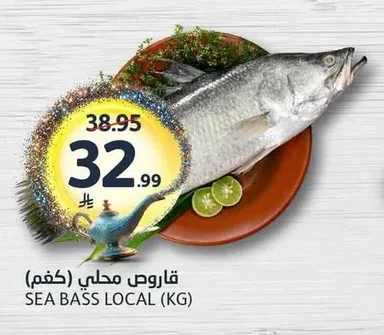 SEA BASS LOCAL