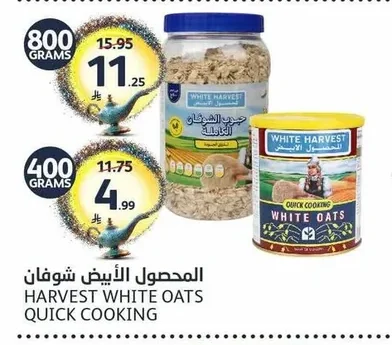 المحصول الأبيض شوفان