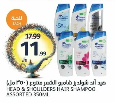 هيد اند شولدرز شامبو الشعر متنوع