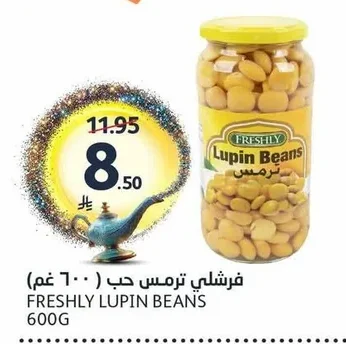 Lupin Beans