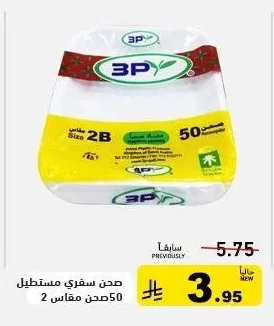 صحن سفري مستطيل