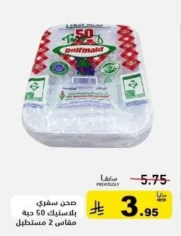Disposable Plastic Plates 50pcs Rectangular Size 2
