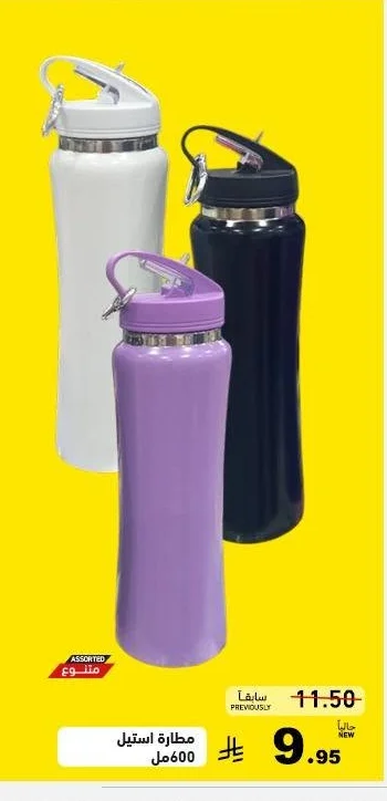 Stainless Steel Water Bottle
