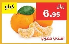 افندي مصري