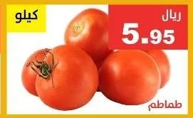 طماطم