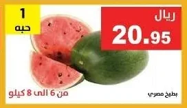 بطيخ