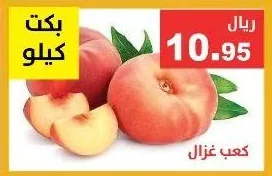 كعب غزال