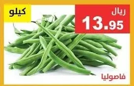 فاصوليا