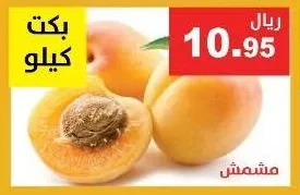 مشمش