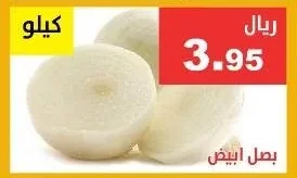 بصل ابيض