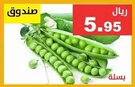 بسلة