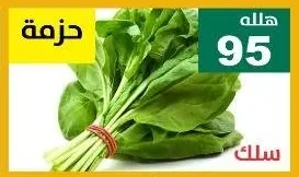 سلق