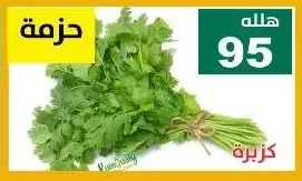 كزبرة