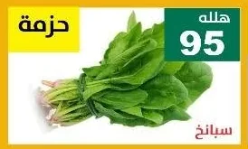سبانخ