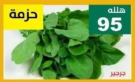 جرجير