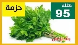 بقدونس