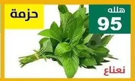 نعناع