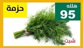 شبت