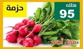 فجل أحمر