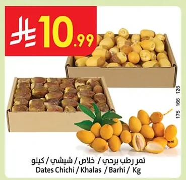 تمر رطب برحي / خلاص / شيشي