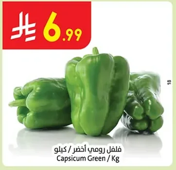 فلفل رومي أخضر