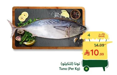Tuna (Per Kg)