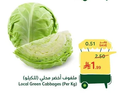 Local Green Cabbages