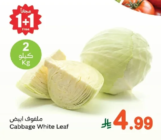Cabbage White Leaf