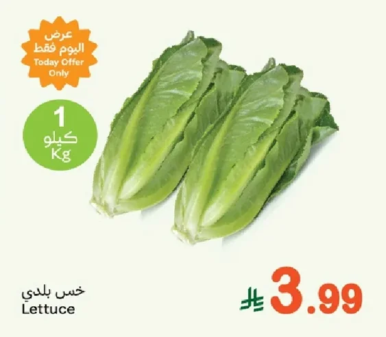 Lettuce