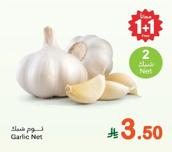 Garlic Net