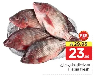 سمك البلطي طازج