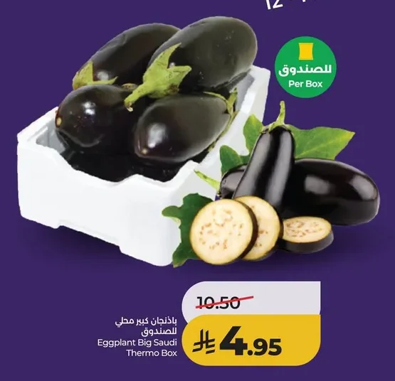 Eggplant Big Saudi Thermo Box