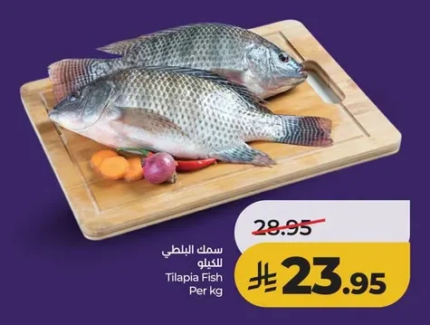 Tilapia Fish