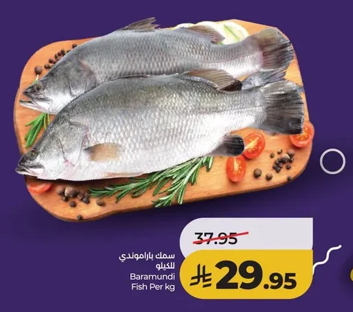 Baramundi Fish