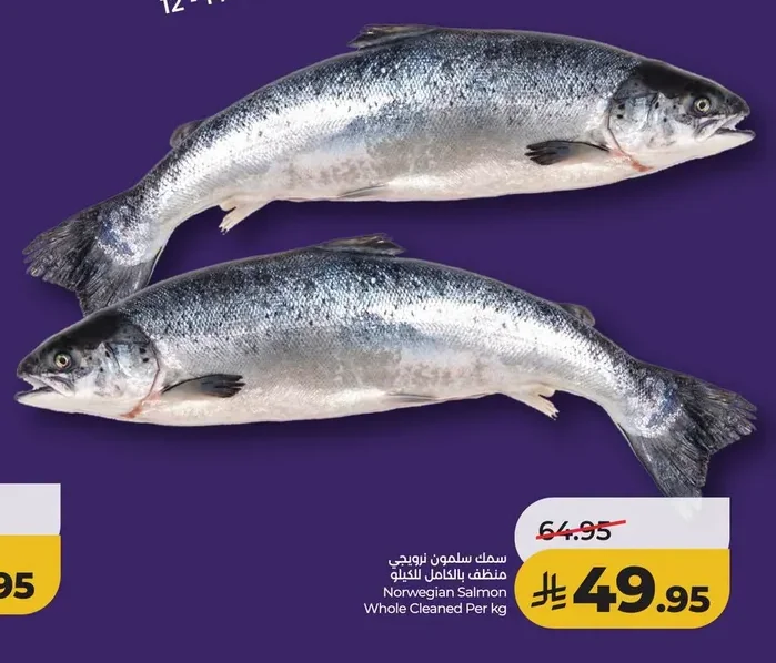 Norwegian Salmon